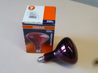 Rotlichtlampe 250 Watt