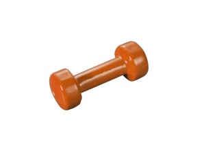 Vinyl Hantel 0,5 kg