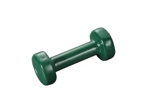 Vinyl Hantel 1,0 kg