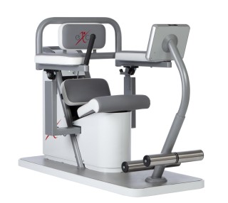Abdominal Crunch - Back Extension EX-06 - Kinesthetic Line